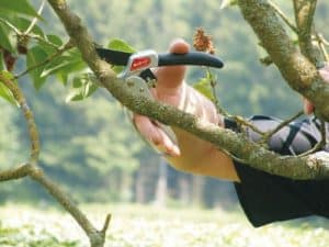 Master ráčnové nožnice „De Luxe“