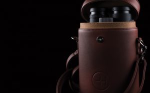 Sapphire ED OH 8x43 (Green)